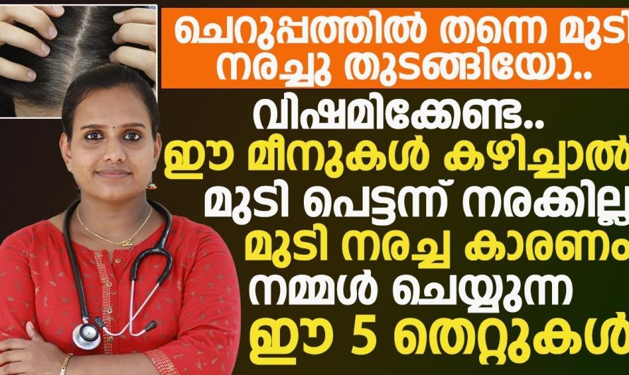 എത്ര പ്രായമായാലും ഇനി മുടി നരക്കില്ല അതിനുവേണ്ടി ഇങ്ങനെയൊന്നു ചെയ്തു നോക്കൂ…