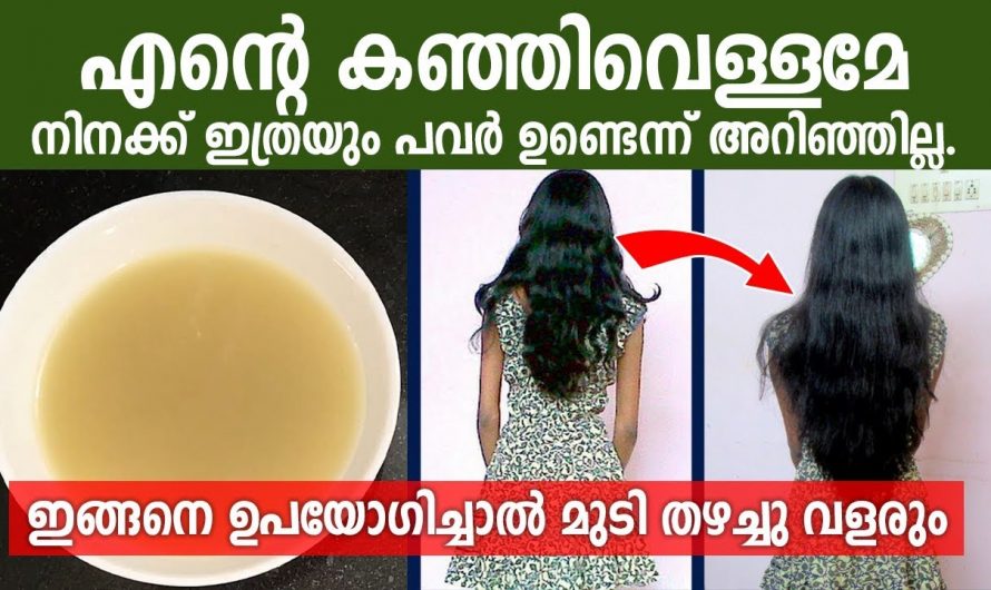 ഉലുവയും കഞ്ഞിവെള്ളവും കൊണ്ട് മുടിക്കൊരു മാജിക്കൽ ട്രീറ്റ്മെൻറ്😱