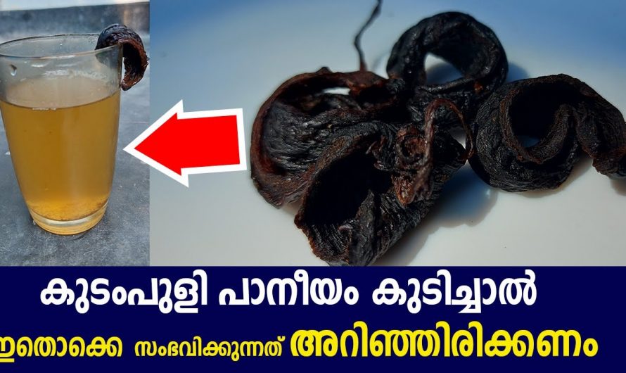 അമിതവണ്ണം കുറയ്ക്കാനായി ബുദ്ധിമുട്ടുന്നവർക്കുള്ള നല്ലൊരു പരിഹാരം, കുടംപുളി കൊണ്ടുള്ള കിടിലൻ പാനീയം👌