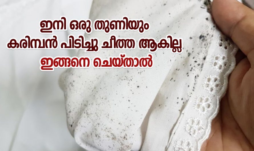 തുണികളിൽ കരിമ്പൻ പിടിച്ച് ചീത്ത ആവാതിരിക്കാൻ ഈ രീതി ഒന്ന് പരീക്ഷിച്ചു നോക്കൂ…