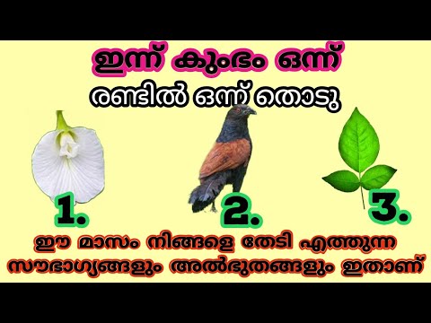 ഈ മാസം നിങ്ങളുടെ ജീവിതത്തിൽ സംഭവിക്കുന്ന ചില അത്ഭുതങ്ങൾ, തൊടുകുറിയിലൂടെ അറിയാം…