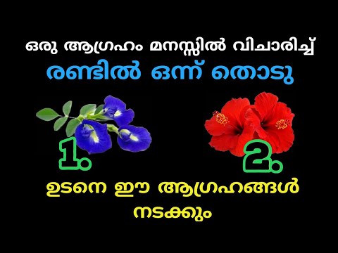 നിങ്ങൾക്ക് ഇഷ്ടപ്പെട്ട ഒരു പൂ തിരഞ്ഞെടുക്കൂ, ആഗ്രഹം നടക്കുമോ ഇല്ലയോ എന്ന് അറിയാം…