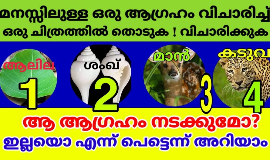 ഈ നാല് ചിത്രങ്ങളിൽ നിന്നും ഒന്ന് തിരഞ്ഞെടുക്കു, സൗഭാഗ്യങ്ങൾ വന്നുചേരും….