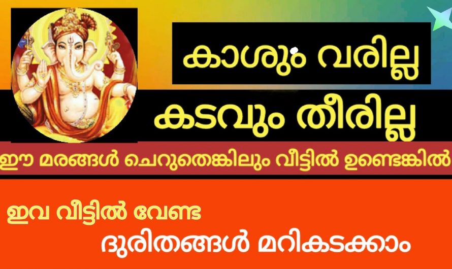 ഈ വൃക്ഷങ്ങൾ വീട്ടിലുണ്ടെങ്കിൽ ദുഃഖവും ദുരിതവും ഒഴിയില്ല…