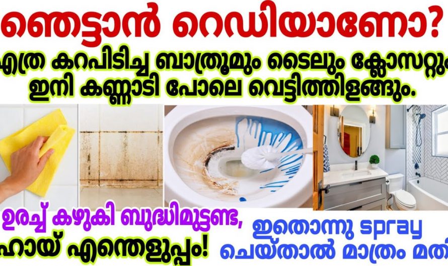 ബാത്റൂം പുതു പുത്തൻ ആക്കി മാറ്റാൻ ആരും പറഞ്ഞു തരാത്ത കിടിലൻ ഐഡിയ…