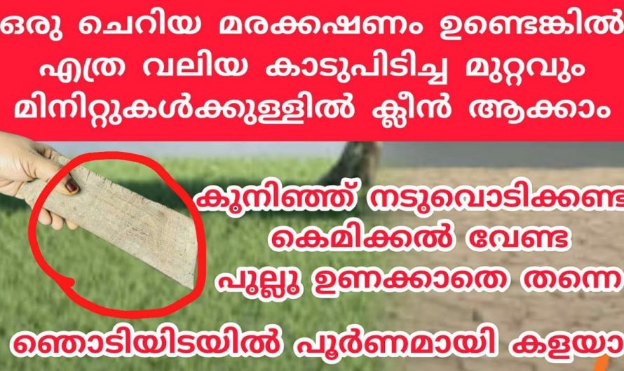 മുറ്റം ക്ലീൻ ആക്കാൻ ഇനി ആരുടെയും സഹായം വേണ്ട, ഈ സാധനം ഉണ്ടെങ്കിൽ നിമിഷങ്ങൾക്കുള്ളിൽ പുല്ലു പറിക്കാം…