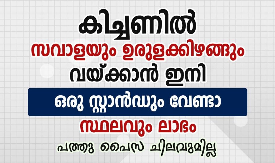 ഇനി പച്ചക്കറികൾ സൂക്ഷിക്കുവാൻ സ്റ്റാൻഡിന്റെ ആവശ്യമില്ല, ഒരു കിടിലൻ ഐഡിയ…