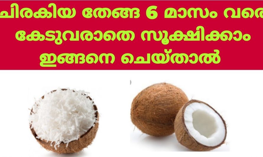 ചിരകിയ തേങ്ങ മാസങ്ങളോളം കേടാകാതെ സൂക്ഷിക്കാം, ഇതാ ഒരു കിടിലൻ സൂത്രം…