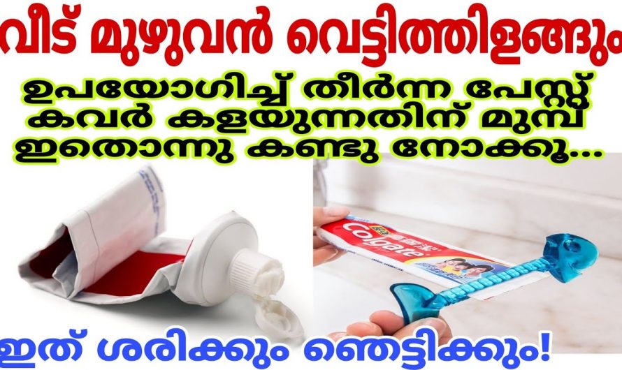 ഉപയോഗിച്ച് തീർന്ന പേസ്റ്റ് കവർ ഇനി വെറുതെ കളയേണ്ട, ഇതാ ചില കിടിലൻ ടെക്നിക്കുകൾ…