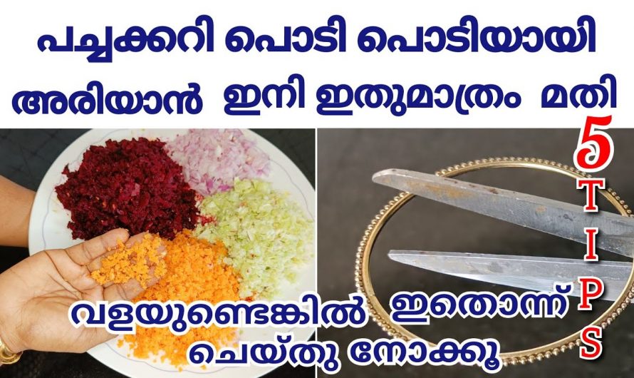 എത്ര ദിവസമായാലും ഇറച്ചി ഫ്രീസറിൽ ഫ്രഷായി തന്നെ സൂക്ഷിക്കാം, അടിപൊളി ടിപ്പ്…