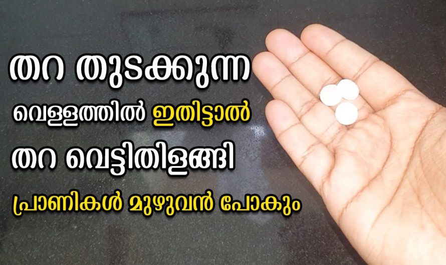 തറ തുടയ്ക്കുന്ന വെള്ളത്തിൽ ഇത് ചേർത്താൽ നന്നായി വെട്ടി തിളങ്ങും…