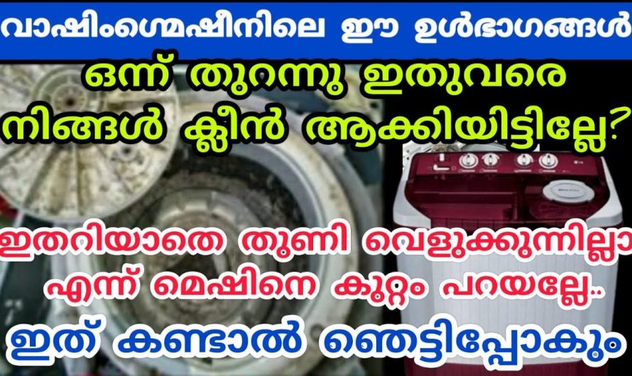 വാഷിംഗ് മെഷീനിന്റെ ഈ ഭാഗം നിങ്ങൾ ക്ലീൻ ചെയ്യാറുണ്ടോ? ഉറപ്പായും ഇത് അറിഞ്ഞിരിക്കുക…