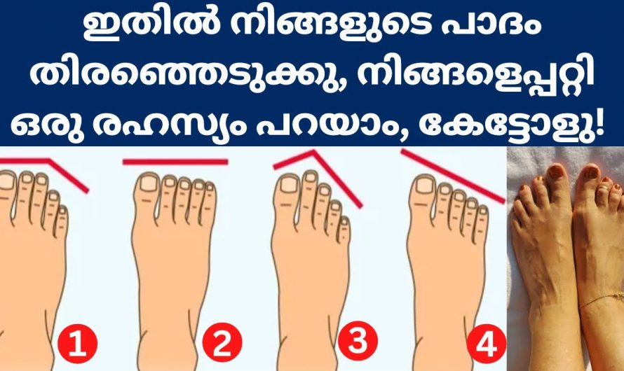 ഇതിൽ ഏതാണ് നിങ്ങളുടെ പാദഘടന? നിങ്ങളെപ്പറ്റി ഒരു രഹസ്യമുണ്ട്…