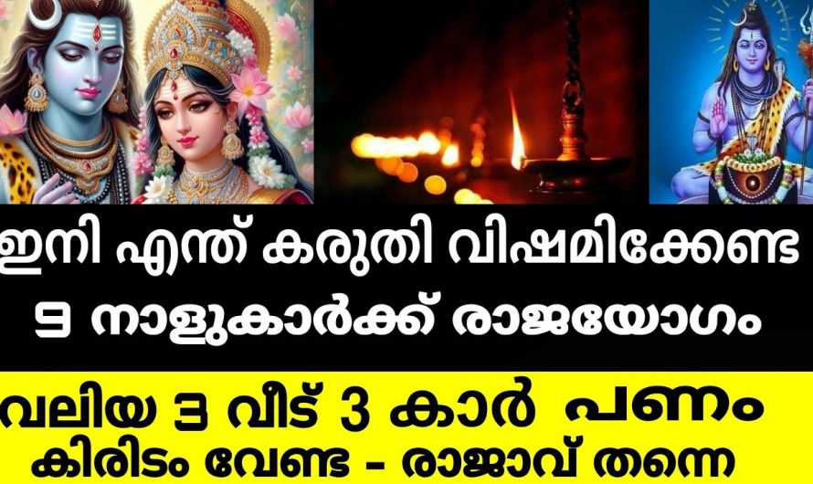 ഈ നാളുകാർ ഇനി തൊടുന്നതെല്ലാം പൊന്നാകും, ഇവർക്ക് മഹാഭാഗ്യത്തിന്റെ ദിനങ്ങൾ…