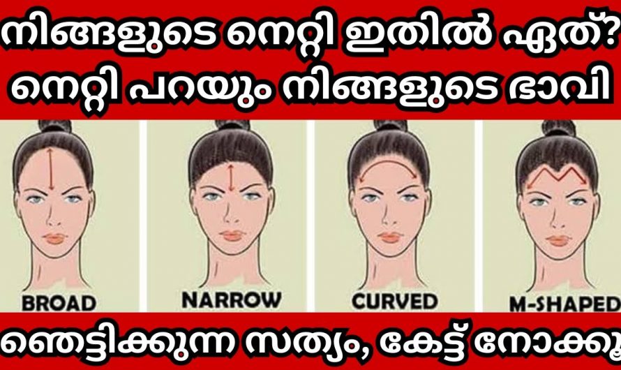 ഇതിലേതാണ് നിങ്ങളുടെ നെറ്റിത്തടം, നിങ്ങളെപ്പറ്റി ഒരു രഹസ്യമുണ്ട്…