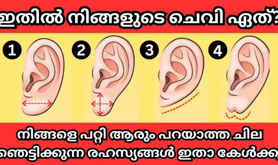 നിങ്ങളുടെ ചെവി ഇതുപോലെയാണെങ്കിൽ ഒരു രഹസ്യം ഉണ്ട് നിങ്ങളെ പറ്റി…