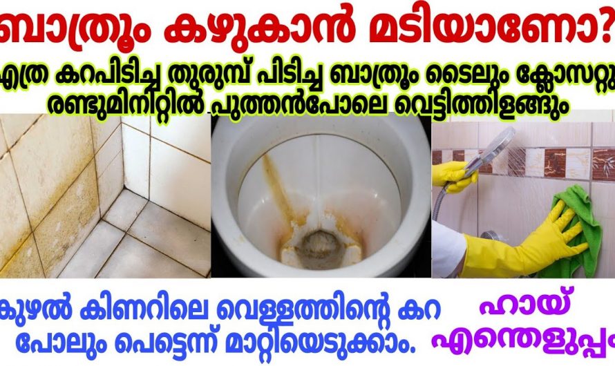 കൈ തൊടാതെ ബാത്റൂം ക്ലോസെറ്റ് പുതുപുത്തൻ ആക്കാം, വീട്ടിലെ ഈ സാധനങ്ങൾ മതി…