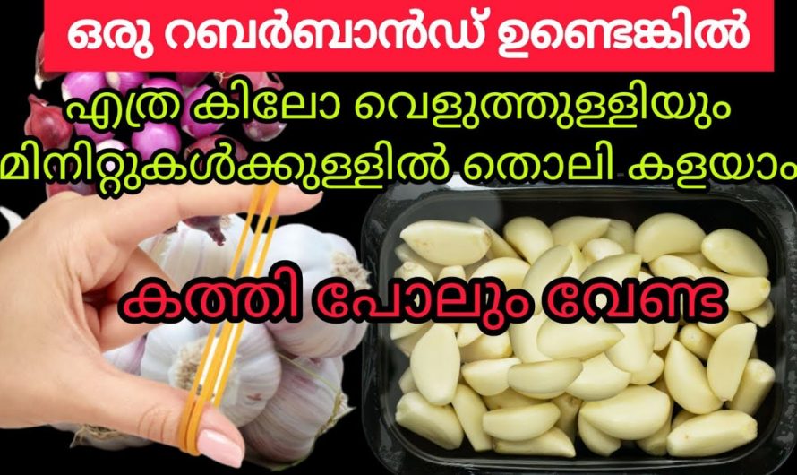 ഉള്ളിയും വെളുത്തുള്ളിയും വേഗത്തിൽ തൊലി കളയാൻ ഇതാ ഒരു അടിപൊളി ടെക്നിക്…