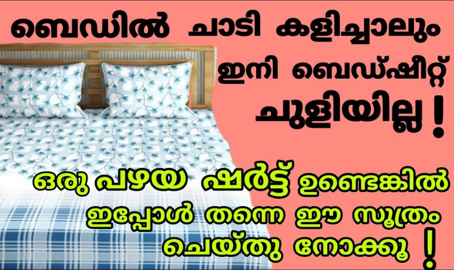 പഴയ ഷർട്ട് ഇനി വെറുതെ കളയേണ്ട, ഒരു അടിപൊളി ടെക്നിക് ഉണ്ട് ചെയ്തു നോക്കൂ…