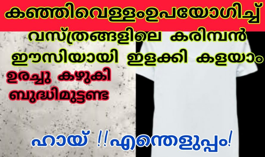 എത്ര പറ്റി പിടിച്ച കരിമ്പൻ പുള്ളികളും ഇളക്കി കളയാൻ കഞ്ഞി വെള്ളം ഉണ്ടായാൽ മതി…