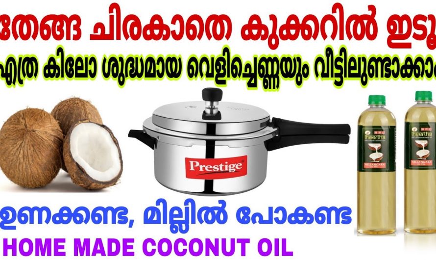 വീട്ടിൽ തന്നെ ശുദ്ധമായ വെളിച്ചെണ്ണ ഉണ്ടാക്കിയെടുക്കാം, ഇങ്ങനെ ചെയ്തു നോക്കൂ…