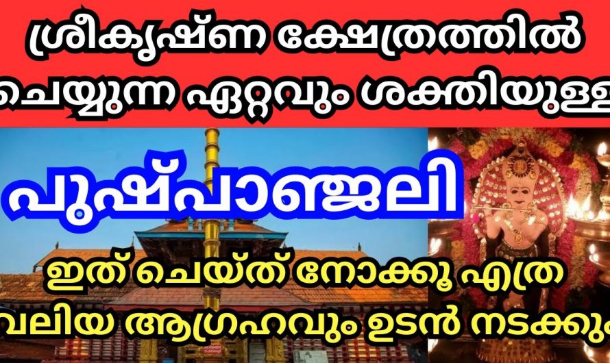 ശ്രീകൃഷ്ണസ്വാമി ക്ഷേത്രത്തിൽ ഈ വഴിപാടുകൾ ചെയ്താൽ നിങ്ങളുടെ ജീവിതം കുതിച്ചുയരും…