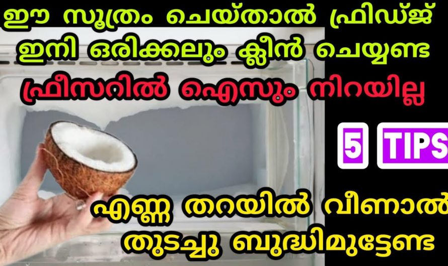 എന്നും ഫ്രിഡ്ജ് പുതുപുത്തനായി സൂക്ഷിക്കുവാൻ ഈ ഒരു സൂത്രം ചെയ്താൽ മതി…