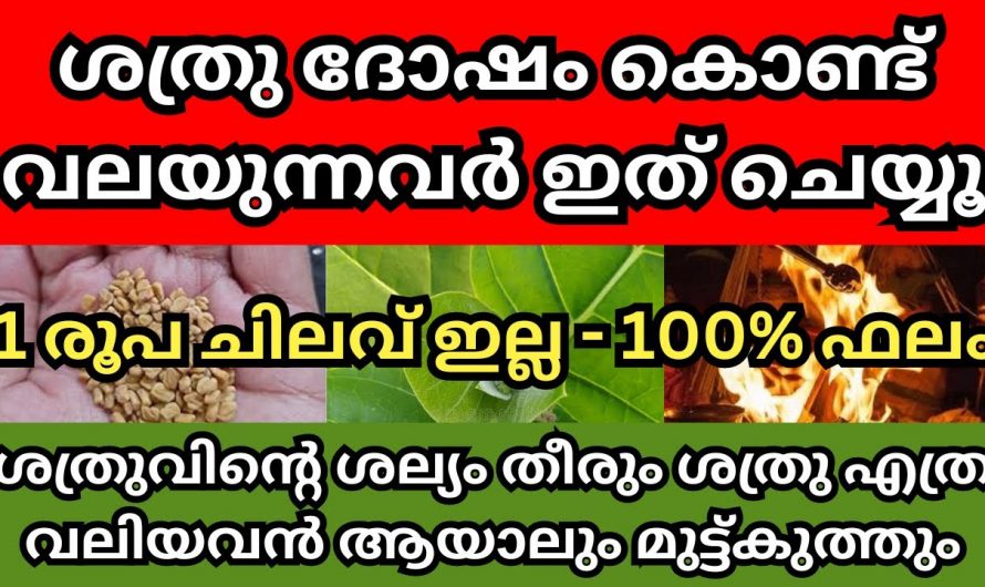 ഈയൊരു കർമ്മം വീട്ടിൽ ചെയ്താൽ ശത്രുക്കൾ നിങ്ങളുടെ മുന്നിൽ മുട്ടുകുത്തും….