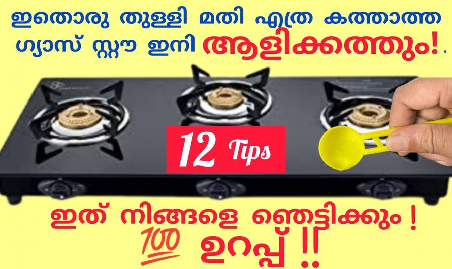 ഗ്യാസ് സ്റ്റൗവിൽ ഉണ്ടാകുന്ന എല്ലാ പ്രശ്നങ്ങൾക്കും ഇതാ ഒരു കിടിലൻ പരിഹാരം…