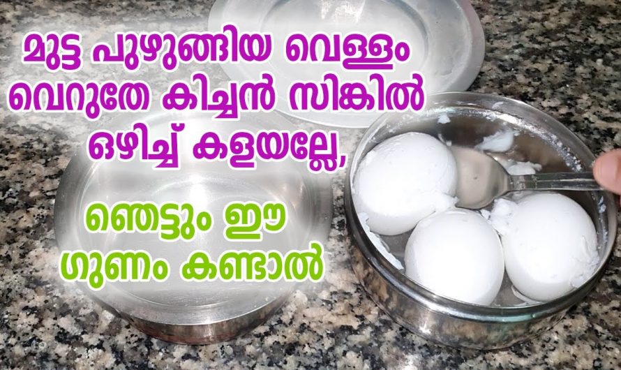 ഇനി മുട്ട പുഴുങ്ങിയ വെള്ളം വെറുതെ കളയേണ്ട, ഇങ്ങനെ ചെയ്തു നോക്കൂ…